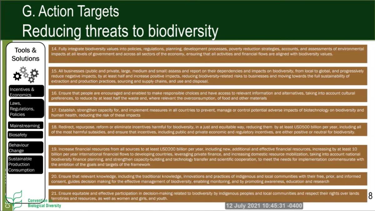 Screenshot_2021-07-12_at_16-46-07_Press_Conference_for_the_Release_of_the_First_Draft_of_the_post_2020_Global_Biodiversity__..._